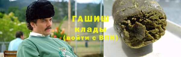 прущие грибы Верея